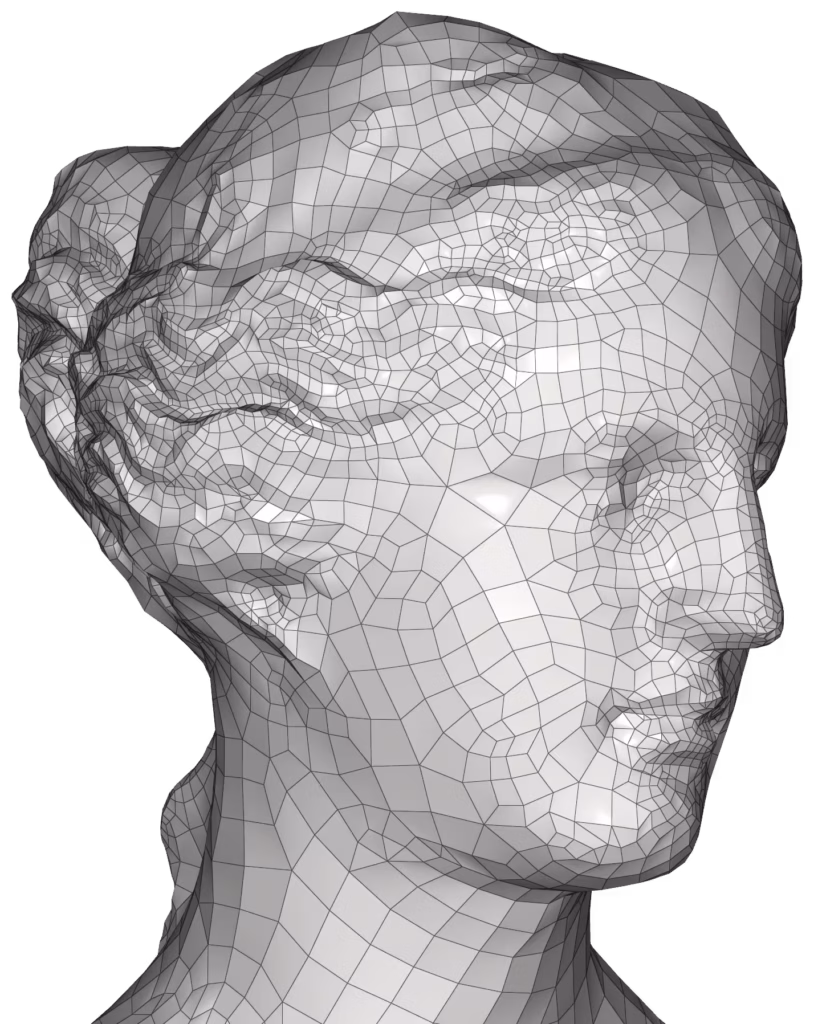 CM2 SurfRemesh® Q4 - Aphrodite - Quad-Dominant Remesh (zoom)